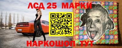спиды Новодвинск
