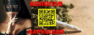 спиды Новодвинск