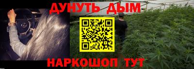 прущие грибы Новокубанск