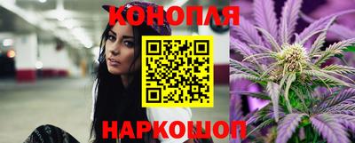 спиды Новодвинск