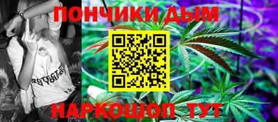 спиды Новодвинск