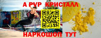 спиды Новодвинск