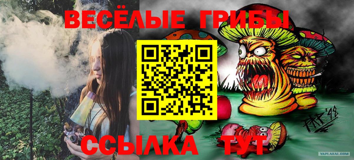 Псилоцибиновые грибы GOLDEN TEACHER  Вход с VPN  Хасавюрт 